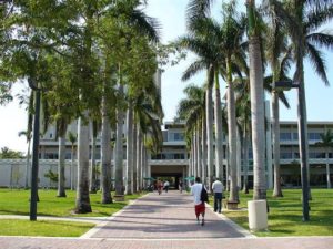 迈阿密大学 University of Miami