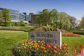 布兰德斯大学 Brandeis University