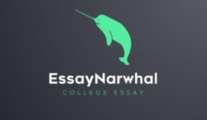 Essay Narwhal logo 1