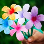 hand holding bouquet of flowers in different diverse colors