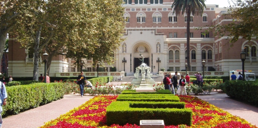 A close up of a flower garden in front of a building

Description automatically generated